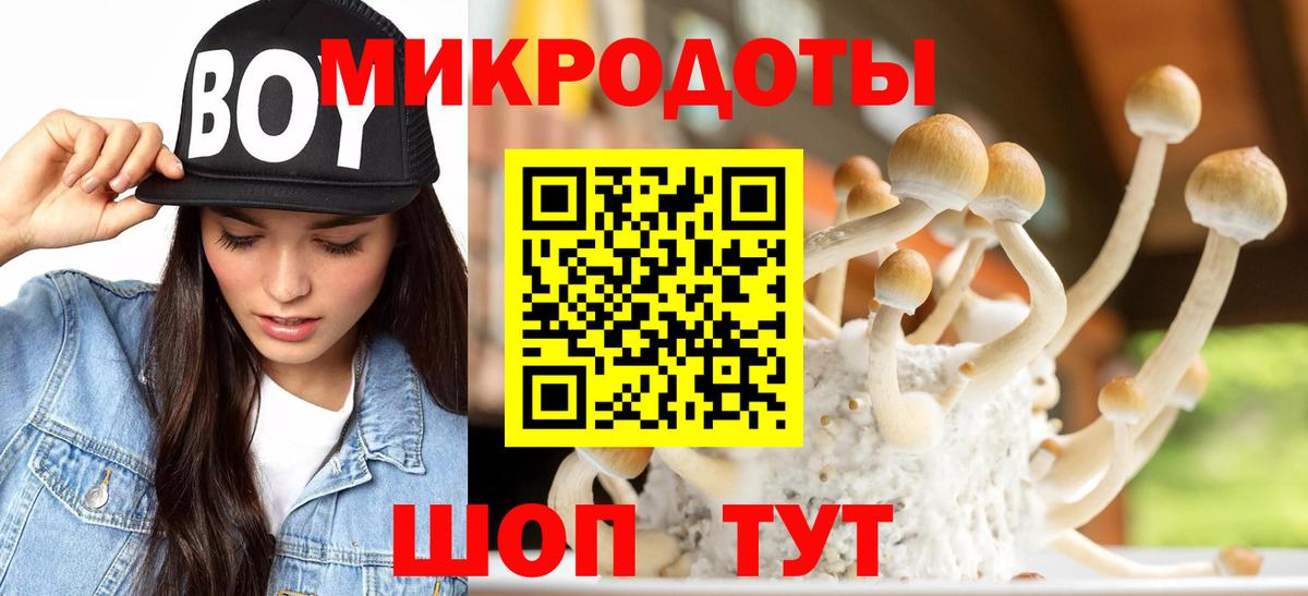 Псилоцибиновые грибы мухоморы Кудрово